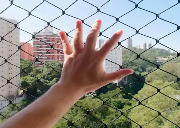 Best Balcony Nets for Pigeons in Bannerghatta