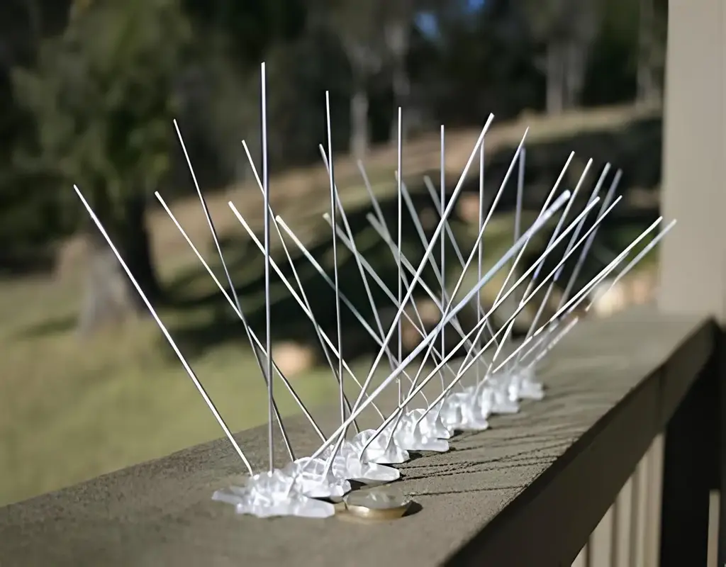Best Premium Quality Anti Bird Spikes in Bangalore