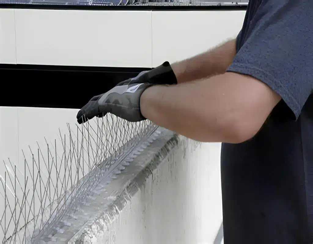 Best Premium Quality Bird Spikes in Electronic City