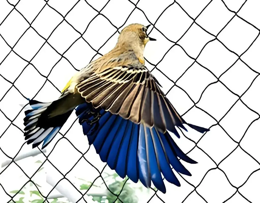 Best Quality Birds Net for Balcony in HSR Layout