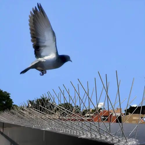 Premium Anti Bird Spikes in Bangalore (2)