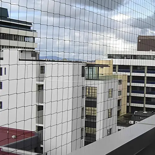 Premium Quality Pigeon Netting in Electronic City