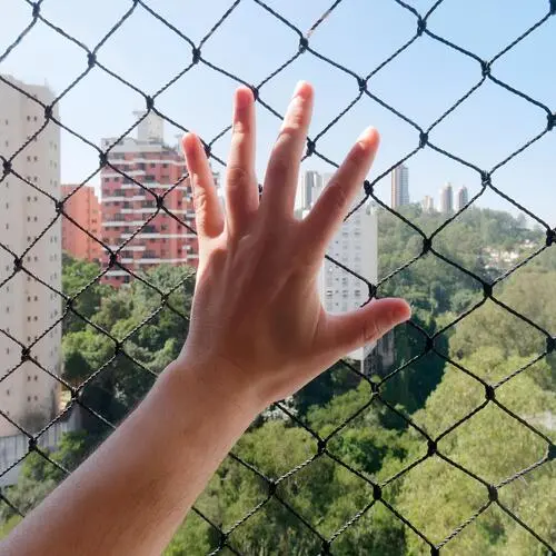 Premium Safety Nets for Pigeons in Bangalore