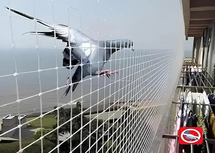 Top Bird Netting for Balconies in Koramangala and Nelamangala