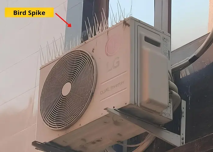 Top Bird Spikes in Electronic City