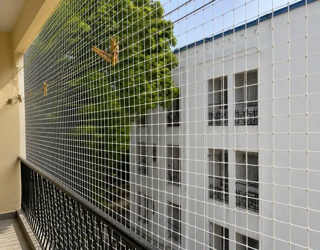 Top Quality Bird Netting Service in Dasarahalli and Vijayanagar
